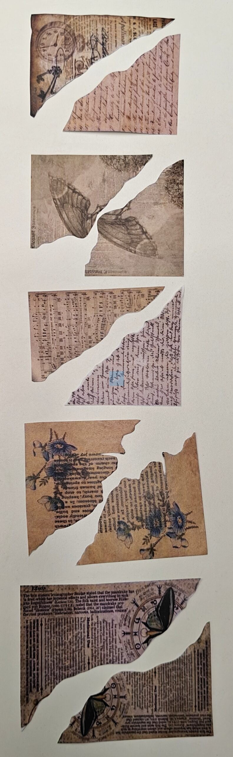 Project Banao Decoration Borders & Headings Cutouts Set - Vintage Antique Scroll & Parchment Theme | Borders, Headings & Subheadings, DIY School Project, Chart & Craft Decoration Supplies | Made in India