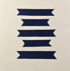 Project Banao Decoration Borders & Headings Cutouts Set - Navy Blue & White Gingham Theme | Borders, Headings & Subheadings, DIY School Project & Craft Decoration Supplies | Made in India